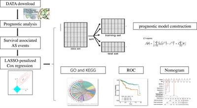 Prognostic Alternative mRNA Splicing in Adrenocortical Carcinoma